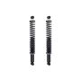 FCS Struts SC00022 Shock Absorber and Coil Spring Assembly