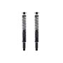 FCS Struts SC00023 Shock Absorber and Coil Spring Assembly