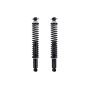 FCS Struts SC00024 Shock Absorber and Coil Spring Assembly