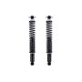 FCS Struts SC00024 Shock Absorber and Coil Spring Assembly
