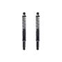 FCS Struts SC00030 Shock Absorber and Coil Spring Assembly