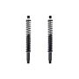 FCS Struts SC00032 Shock Absorber and Coil Spring Assembly