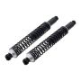 FCS Struts SC00038 Shock Absorber and Coil Spring Assembly