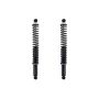 FCS Struts SC00046 Shock Absorber and Coil Spring Assembly