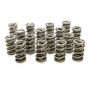 PAC RACING SPRINGS PACPAC-1385-16 1.564 Dual Valve Springs - (16)