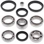 All Balls Racing 25-2050 2004 Arctic Cat 300 4x4 Differential Bearing & Seal Kit Front
