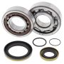 All Balls Racing 24-1115 05-07 Gas-Gas EC200 Crank Shaft Bearing Kit