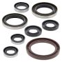 Vertex Pistons 822364 Vertex Gaskets 14-15 Husqvarna FC 250 Oil Seal Kit