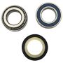 All Balls Racing 22-1080 19-20 Indian FTR 1200 Steering Bearing Kit