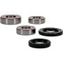 Pivot Works 25-1810-P BMW Wheel Bearing Kit Premium Bearings