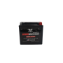 TwinPower 485007 High Performance Batteries