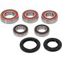 Pivot Works 25-1099-P Kawasaki Wheel Bearing Kit Premium Bearings