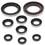 Vertex Pistons 822335 Vertex Gaskets 08-09 KTM XC 450 ATV Oil Seal Kit