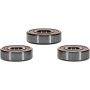 Pivot Works 25-1325-P Suzuki Wheel Bearing Kit Premium Bearings