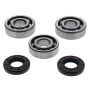 All Balls Racing 24-1117 18-23 Yamaha YZ65 Crank Shaft Bearing Kit