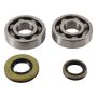 Hot Rods K044 03-04 Suzuki RM 250 250cc Main Bearing & Seal Kit