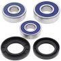 All Balls Racing 25-1603 97-99 Honda XL600V TRANSALP (Euro) Wheel Bearing Kit Rear