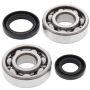 All Balls Racing 24-1075 80-85 Honda CR125R Crank Shaft Bearing Kit