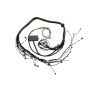 Haltech HT-130318 Elite 2000/2500 Terminated Engine Harness
