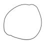 Vertex Pistons 819047 Clutch Cover Gasket