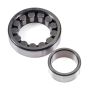 Schaeffler 527539 Schaeffler Bearing - CRB ( Cylindrical Roller Bearing)