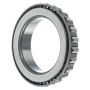Schaeffler KNP678813 Schaeffler Cone