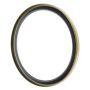 Schaeffler SS3162 Schaeffler General seal