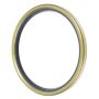 Schaeffler SS3162 Schaeffler General seal