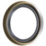 Schaeffler SS3164 Schaeffler Shaft Seal