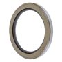Schaeffler SS3391 Schaeffler Shaft Seal
