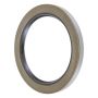 Schaeffler SS3391 Schaeffler Shaft Seal