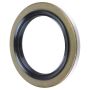 Schaeffler SS3941 Schaeffler Shaft Seal