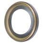 Schaeffler SS5924 Schaeffler General seal