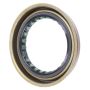 Schaeffler SS61301 Schaeffler Shaft Seal