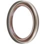 Schaeffler SS6231 Schaeffler Shaft Seal