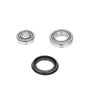 Schaeffler WB66813K Schaeffler Wheel Set - DGBB (Deep Groove Ball Bearing) - RW