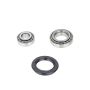 Schaeffler WB66813K Schaeffler Wheel Set - DGBB (Deep Groove Ball Bearing) - RW