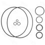 Four Seasons 24008 A6 Compressor O-Ring Kit