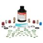 Four Seasons 26600 GM Car & Lt Truck Ester Retrofit kit