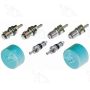 Four Seasons 26862 Cap & Valve A/C System Seal Kit
