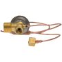 Four Seasons 39055 TXV Externally Equalized Expansion Valve