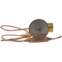 Four Seasons 39055 TXV Externally Equalized Expansion Valve