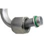Four Seasons 55966 Discharge & Suction Line Hose Assembly