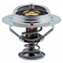 FACET ENGINE MANAGEM 7.8491 Engine Coolant Thermostat