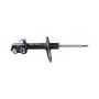 Gabriel Ride Control G52007 Premium Struts for Passenger Cars, Light Trucks and SUVs