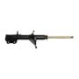 Gabriel Ride Control G52017 Premium Struts for Passenger Cars, Light Trucks and SUVs