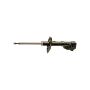 Gabriel Ride Control G52152 Premium Struts for Passenger Cars, Light Trucks and SUVs
