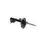 Gabriel Ride Control G52170 Premium Struts for Passenger Cars, Light Trucks and SUVs