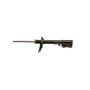 Gabriel Ride Control G52203 Premium Struts for Passenger Cars, Light Trucks and SUVs