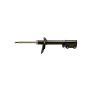Gabriel Ride Control G52204 Premium Struts for Passenger Cars, Light Trucks and SUVs